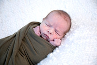 Levi: Newborn