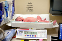 Halle's Birth Day: May 15th 2012