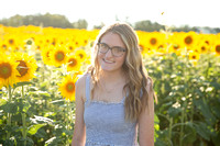 Carly: Sunflowers 2022